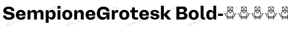 SempioneGrotesk Bold字体转换